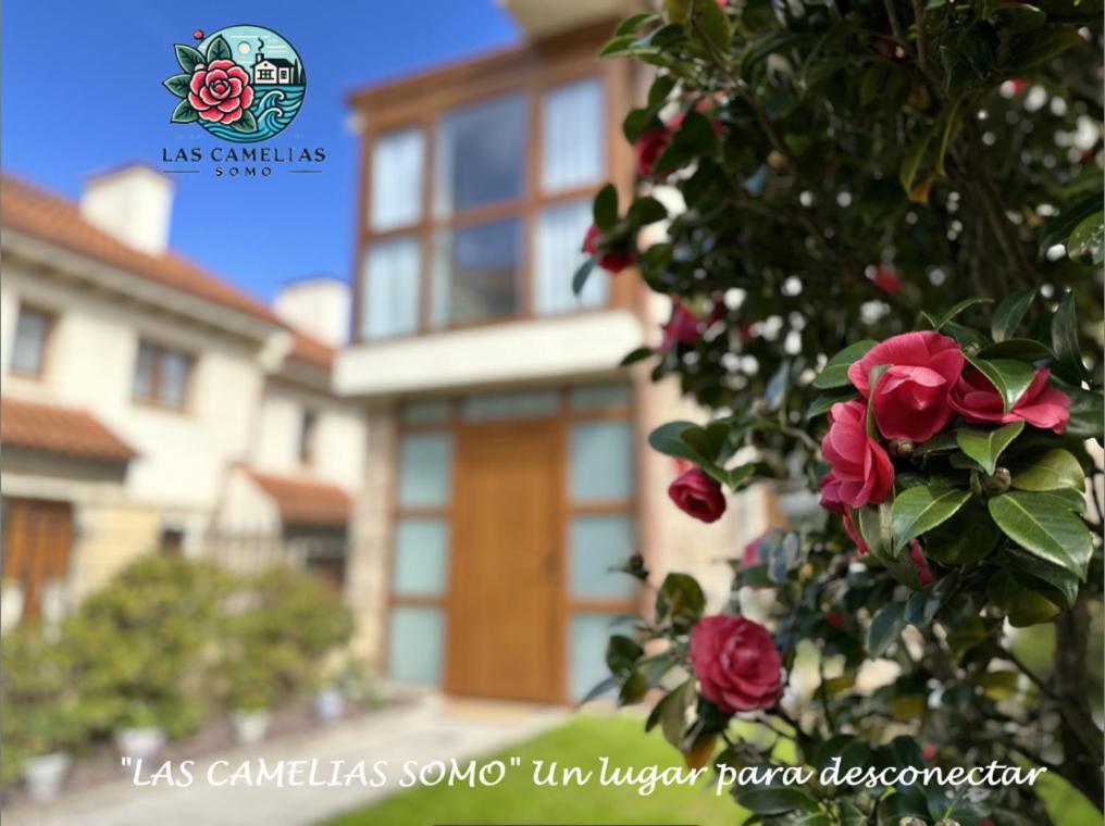 "Las Camelias Somo" Un Lugar Para Desconectar!! Vistas Al Mar!! Exterior foto